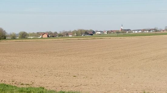 . . . mit der Ortschaft Schönerting im Hintergrund.