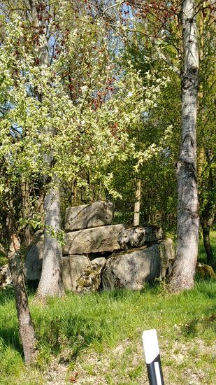 Ein wenig weiter entlang des Weges erscheint zwischen zwei Bäumen eine mystisch anmutende Formation aus riesigen Feldblöcken, die sicherlich nicht natürlichen Ursprungs ist, sondern von Menschenhand geschaffen sein mußte.
Jedoch war kein beschreibendes Hinweisschild zu erspähen.