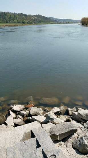 Von links die Donau, die dem physischen Lauf der von rechts ankommenden Vils ein unspektakuläres Ende versetzt.
Im linken unteren Bildbereich ist die steinerne Treppe zu erkennen, die mit einigen Stufen zum Endpunkt des eigentlichen Tourthemas führt.