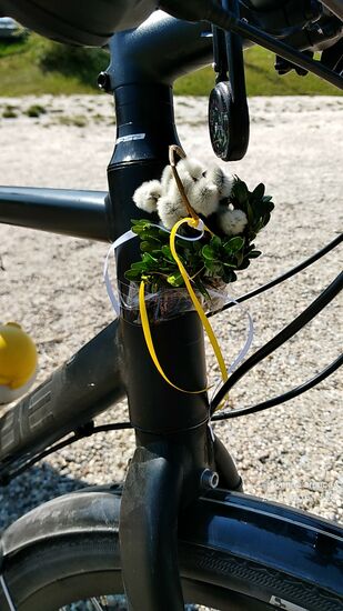 Wie ja schon weiter oben in diesem Bericht ausgeführt, ist zum Tourzeitpunkt die Karwoche vor Ostern.
Deshalb auch der Hinweis auf den kleinen Palmbuschen am Steuerrohr des Fahrrads, der nicht nur diese komplette Tour, sondern auch während der zweiten Ferntour dieses Jahres in der zweiten Hälfte im Mai meine Fahrstrecken entlang einer gemeinsamen Tour an Teilen der Enns und der Donau schmückte.
Diese Tourbeschreibung gibt es dann zu einem späteren Zeitpunkt.