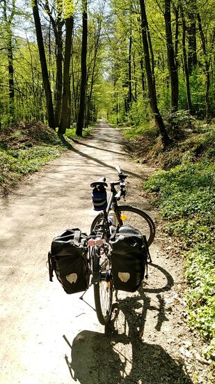 Dieses Stück Weg nennt sich Vils-Engtal und verläuft  ab Vilshofen für etwa 4 km vilsaufwärts durch einen naturnahen Flußabschnitt mit landschaftlicher Vielfalt bis etwa Höhe Mattenham, wo ich den Vilsradweg vormittags verlassen hatte.
Dieses und das folgende Bild kennzeichnen das Vils-Engtal, das anschließend in das bereits beradelte Gebiet namens "Lebendige Vils" übergeht und eine hochwertige Gewässerlandschaft, erreicht durch einen ökologischen Umbau mit Umgestaltung von (Wasser-)Abstürzen und Ausweitung der Auwaldbestände entstehen ließ.
(Zusammengefaßt aus der Beschreibung von donautal-klosterwinkel.de)