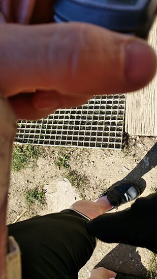 Nach dem Frühstück am dritten Tourtag heißt es Abschiednehmen und aus der Oberperspektive sieht man, wie mich einer der beiden Hofhunde nochmals oberhalb des linken Knies beschnuppert, als wollte er testen, ob ich für den anstehenden 
3. Tag auch gute Beine hätte.