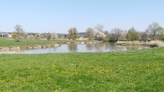 An einer Ausbuchtung der Rott kurz vor Eggenfelden. Die Rott selbst verläuft auf Höhe des Baum- und Strauchgürtels in Bildmitte.