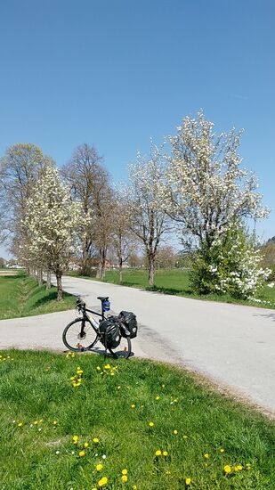 Entlang der alten Landstraße verlief die Route parallel zur B 588 bis Mitterskirchen, um von dort über die radlertauglichen Landstraßen in Richtung Töging 
und Mühldorf am Inn zu gelangen.