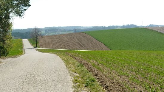 Die kleinen Verbindungsstraßen in diesem Gebiet zwar recht rumpelig-rissig, aber der darauf ablaufende Verkehr wurde so gut wie nur von mir betrieben.