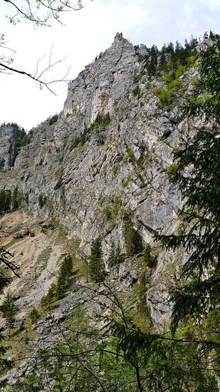Solche schroffen Felswände kennzeichnen immer wieder den Verlauf an der wild dahinfließenden Enns.