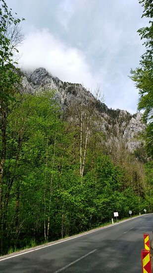 Weiter geht's durch die Schlucht.