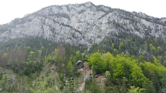Bei Vergrößerung dieses Querformat-Fotos kann man im Vergleich zu den benachbarten Bäumen erst recht die Ausmaße dieser Brocken erahnen.
Man könnte meinen, jemand hätte Keile untergelegt. Eigentlich dürften sie in dieser Position gar nicht zur Ruhe gekommen sein. Aus sicherer Entfernung südlich der Enns verlasse ich diese imposanten Steinchen.