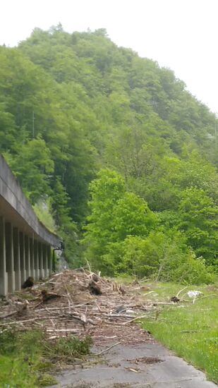 Da hat ein Murenabgang mit viel Holz den Weg verblockt, aber irgendwie wäre auch dieses Schlammassel über das angrenzende Wiesenstück zu umgehen gewesen. Egal, durch ist durch !