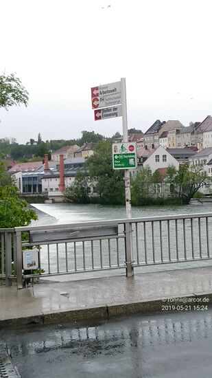 Kurzer Blick etwas steyr-aufwärts