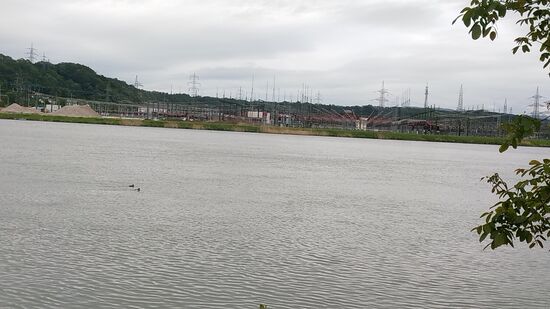 Dieses Umspannwerk ist eines der vier größten Netzknoten im österreichischen 
380-kV-Hochspannungsring.
Über eine eigene 110-kV-Leitung sind hier größere Industriebetriebe wie etwa die riesigen Voestalpine-Stahlwerke in Linz angeschlossen.