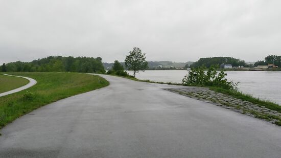 Also den Blick voller Motivation nach vorne, in meinem Fall stromaufwärts an der
"Mutter aller Radwege", wie der Donauradweg gelegentlich in Reisebeschreibungen respektvoll genannt wird.