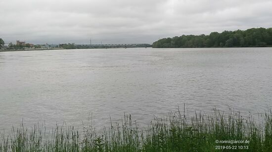 Das weitläufige Mündungsgebiet der Enns aus rechter Richtung in die Donau, die von links hinten nach oben strömt.
Ich betone hier dabei die Donau als "Strom" bzw. daß sie "strömt", da es eine Definition gibt, daß sie vom Ursprung in Donaueschingen bis Passau als Fluß fließt und erst ab der Innmündung in der Drei-Flüsse-Stadt als Strom dahinströmt.