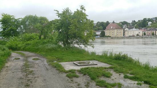 . . . , dann entlang dieses Feldwegs gut 100 m donauaufwärts und vor meinen Augen legt gerade die Radlerfähre vom Anleger ab - ca. 1/2 Std. warten? 