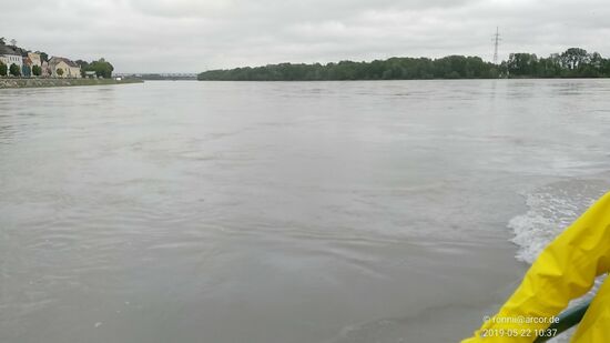 Nun also mitten auf der Donau.