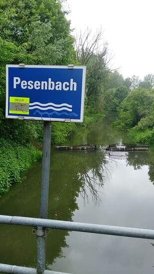 Zwischen Ottensheim und einem nachfolgenden Donau-Kraftwerk mündet der ca. 35 km lange und als naturnah eingestufte Pesenbach, der aus dem nördlich gelegenen Mühlviertel zufließt, in die Donau.