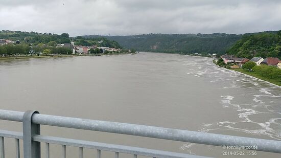 Der Blick donauaufwärts.
Neben der etwas vorher gezeigten Radreparaturstation lagen an einer Infotafel auch noch Fibeln mit allen Übernachtungs- und Einkehrmöglichkeiten entlang des Donauradwegs aus, so daß ich mich nach Abschätzung der ungefähren Wegstrecke für eine Pension in der Ortschaft Wesenufer entschied.
Da ich von hieraus gesehen den rechten Radweg nehmend nochmals mit einer Fähre übersetzen hätte müssen, da bis zur Unterkunft keine Brückenverbindung mehr bestanden hätte, fuhr ich nach der Aschacher Brücke auf der hier linken Donauseite weiter stromaufwärts.