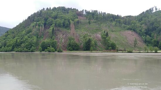 Ein kleines Stück weiter ist kurz hinter Exlau gerade eine Rodungsmaßnahme im Gange.