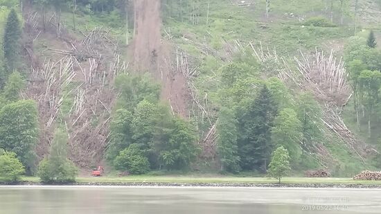 In der Vergrößerung sieht man die Baumstämme wie Mikado-Stäbchen am Hang liegen und in der linken unteren Hälfte wirkt der orangefarbene Bagger auch eher wie kleines Spielzeug im Verhältnis zum Steilhang.