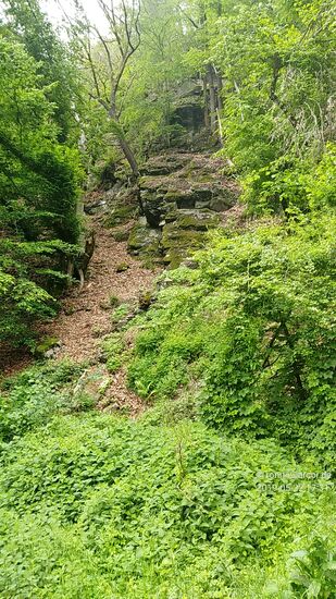 Am Steilhang erscheinen immer wieder brüchig anmutende Gesteinsformationen.
