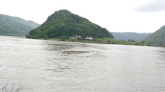 Von Donauniveau aus natürlich nicht besonders beeindruckend.
Die Donau schlingt sich von links anströmend um den Höhenzug mit den Anwesen am Fuße dessen, um dann vor dem Steilufer im Hintergrund nochmals eine etwas erweiterte Schleife nach rechts zu ziehen. Hoch am Steilufer hinter meinem Rücken gibt es ja einen prädestinierten Aussichtspunkt, der aber aus Zeitgründen erst am folgenden letzten Tourtag zum Besuch anstand.