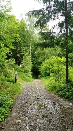 Beim Blick zurück nach unten etwas später leuchtet ein, daß dieser Weg für meinen bepackten Straßentourer keine Alternative dargestellt hätte.