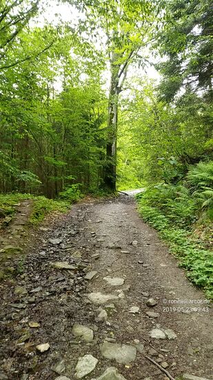 Also weiter nach oben entlang des Steilhangs.