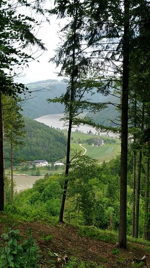 Der Zwischenblick durch eine Baumlücke am Steilhang läßt einen guten Fortschritt an Höhengewinn erkennen.