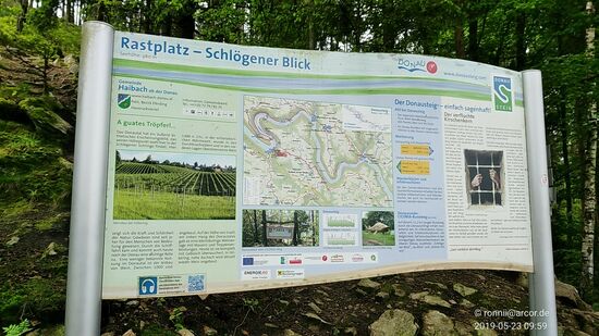 Und nach einer knappen halben Stunde Marsch mit den etwas hinderlichen Radlsandalen ist kurz vor 10 Uhr der Rastplatz Schlögener Blick erreicht.