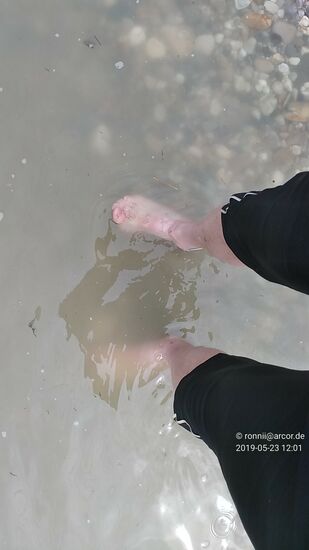 . . . aber wenig später gibt es ein gut zugängliches, seichtes Stück, wo die Füße Abkühlung finden können. Und immer wieder, wie bei solchen Aktionen schnappt der große rechte Zeherling nach Luft.