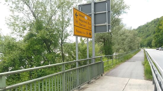 Hier an praktisch gleicher Position ist's noch ein halbes Dutzend, obwohl der Radweg konstant parallel links zur Straße bis zum Ortseingang führt. 
Und wenn's noch zehn km wären? - EGAL !
Von Jochenstein bis Passau befindet  man sich übrigens 
im Naturschutzgebiet Donauleiten bzw. Donauengtal.