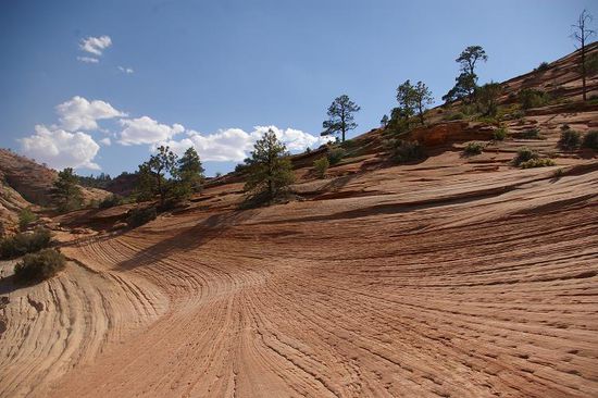 im Ostteil des Zion NP