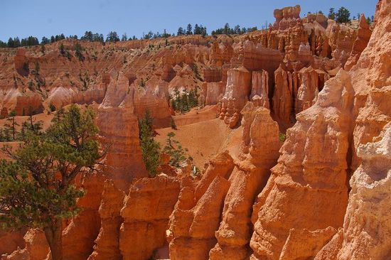 Hoodoos im Bryce Canyon NP
