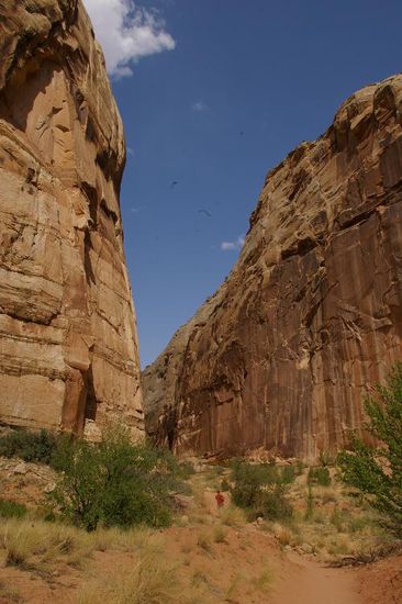 Capitol Gorge...