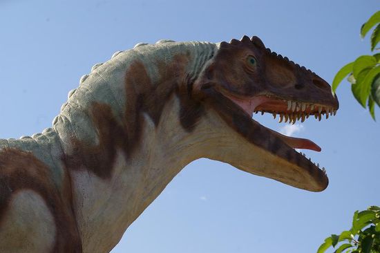 Dinosaur Museum in Vernal