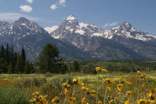 Die Tetons...