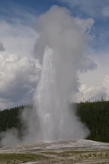 Old Faithful Geyser