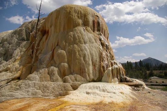 ...bei den Mammoth Hot Springs
