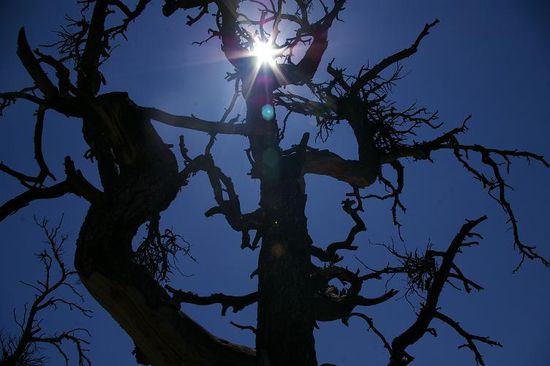 Während eines Trails...