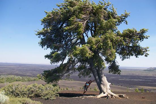 ... Inferno Viewpoint