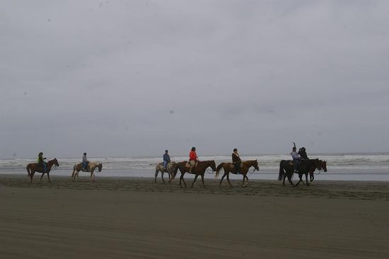 Ocean Shores...