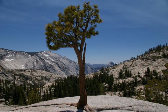 Olmsted Point an der Tioga Road