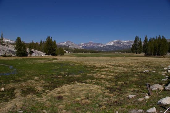 Tolumne Meadows