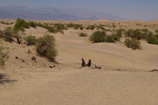 Wanderdünen: feinster, heißer Sand