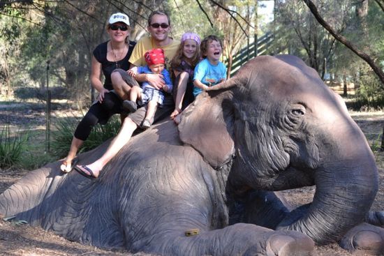 Waren wir zu schwer für ihn?