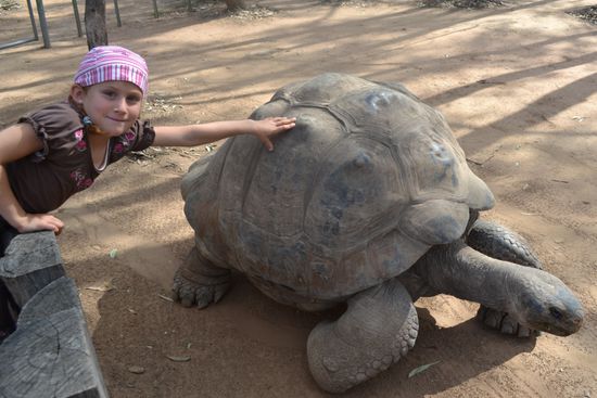 Galapagos-Schildi...