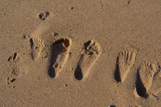 Spurenleser sind gefragt