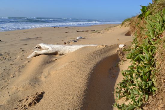 Allein und zeitlos am Strand...