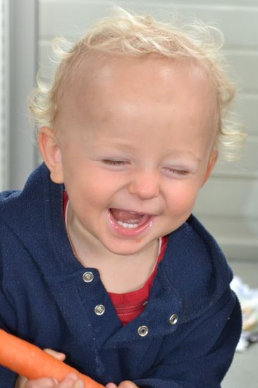 'Habe diese Möhre gefunden'