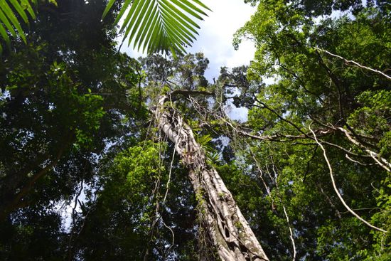 ...erreicht man auf einem kurzen Trail